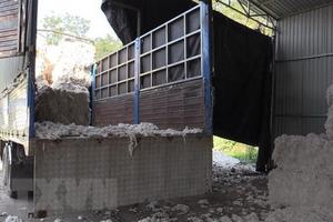 Bình Dương: Bắt quả tang vụ đổ trái phép 6 tấn chất thải ra môi trường