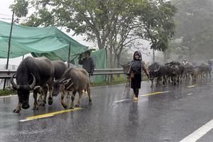 Bắc Bộ mưa diện rộng, có nơi nhiệt độ xuống dưới 15 độ C