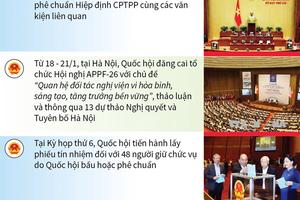 Điểm lại những hoạt động nổi bật của Quốc hội năm 2018