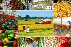 Năm 2019, ngành nông nghiệp phấn đấu xuất khẩu tối thiểu 43 tỷ USD