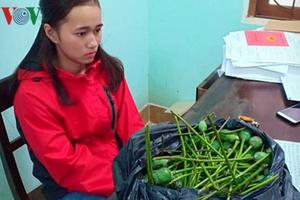 Bán quả anh túc tươi ngâm rượu, một phụ nữ bị bắt