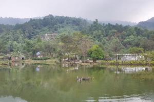 Nâng đập thuỷ lợi Khe Lau, 24 hộ dân ngập trong nước