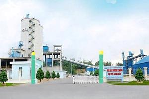Giải quyết một số vấn đề liên quan đến Nhà máy Xi măng Đại Việt-Dung Quất