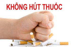 Thanh tra về phòng, chống tác hại thuốc lá tại 3 TP lớn      