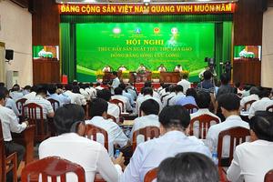 Đẩy mạnh tiêu thụ lúa gạo ở Đồng bằng sông Cửu Long