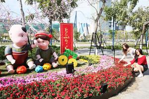 Về Hạ Long Tết này, nhất định phải ghé thăm vườn hướng dương 18.000m2 