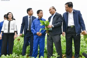 Tam nông là lĩnh vực không thể thiếu được trong sự phát triển đất nước