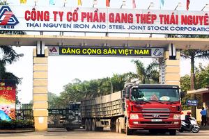 Dự án gang thép Thái Nguyên “đắp chiếu”: Thủ tướng đồng ý với kết luận của Thanh tra Chính phủ