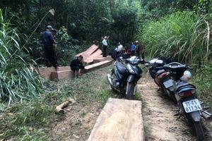 Phát hiện bãi tập kết gỗ lậu tại huyện M’Đrắk