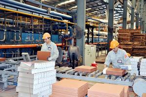 Trên 10.000 doanh nghiệp được thành lập mới trong tháng 1.2019