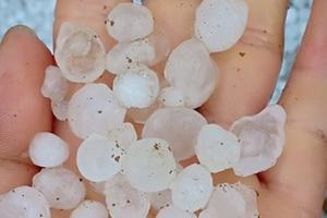 Mưa đá bất ngờ làm hàng trăm hộ dân Sơn La, Yên Bái bị ảnh hưởng