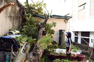 Lốc xoáy bất thường tại Tuyên Quang, hư hại nhiều nhà cửa và hoa màu