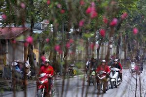 Hà Nội lạnh, nhiệt độ thấp nhất 15 độ C