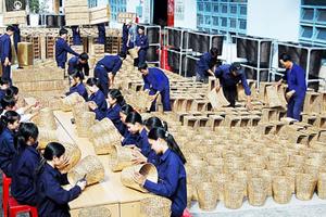 Tổng kết 15 năm tiếp tục đổi mới, phát triển, nâng cao hiệu quả kinh tế tập thể