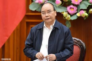 Thủ tướng làm việc về tình hình giá gạo giảm