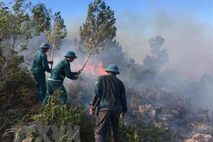 Huy động 120 người dập cháy tại Vườn quốc gia Hoàng Liên