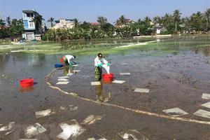 Trạm xăng nổi lật nghiêng gây sự cố tràn dầu trên sông Kinh Thầy