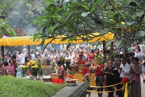 Lễ nghi dâng vua ngày Tết cổ truyền