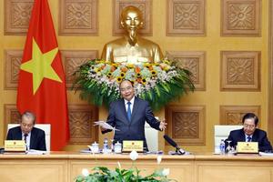 Vẫn còn tình trạng "cắt giấy phép mẹ, đẩy giấy phép con"