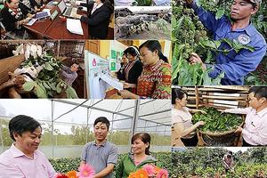 Từ 1/3, hộ nghèo được vay tối đa 100 triệu đồng