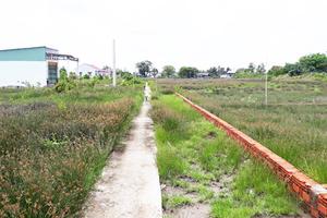 Cà Mau: Sai phạm tiền tỷ nhưng cán bộ chỉ bị xử lý kiểm điểm