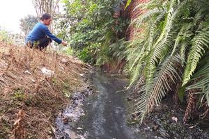 Chủ tịch Nguyễn Đức Chung chỉ đạo, chính quyền vẫn làm ngơ!