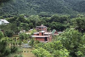 Kết luận vụ “xẻ thịt” rừng Sóc Sơn: Có đến nghìn công trình vi phạm