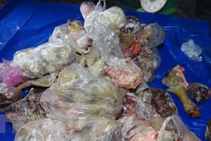  Bắt giữ hơn 1 tấn thịt lợn bị lở mồm long móng