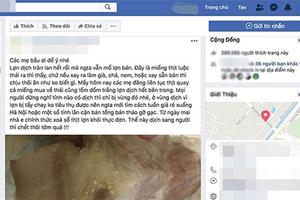 1 Facebooker bị triệu tập vì tung tin sai về dịch lợn