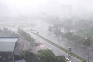 Năm 2019 sẽ có 4-5 cơn bão ảnh hưởng trực tiếp đến Việt Nam