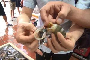 Phát hiện một cơ sở ở ngoại thành Hà Nội bơm tạp chất vào tôm