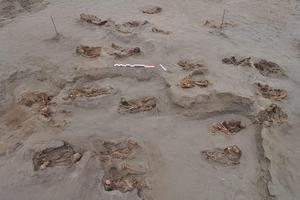 Peru: Chuyên gia khảo cổ tìm thấy mộ cổ chôn tập thể 140 trẻ em