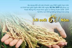 VietinBank cho vay thu mua thóc gạo với lãi suất ưu đãi 6%
