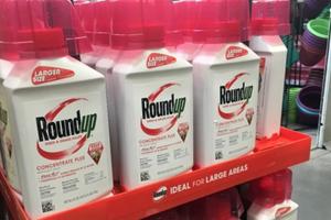 Yêu cầu Monsanto có trách nhiệm khắc phục hậu quả chất độc da cam ở Việt Nam