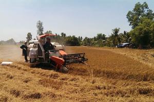 Chủ động triển khai giải pháp chống hạn, xâm nhập mặn