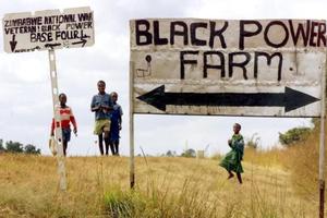 Bắt "cá nhỏ", bỏ "cá lớn"