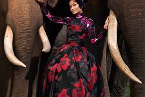 H'Hen Niê rực rỡ như đóa hoa giữa đại ngàn