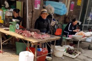 Dịch tả lợn Châu Phi: Người tiêu dùng Hà Nội “e ngại” với thịt lợn