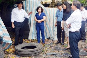 Năm 2019 nguy cơ mắc sốt xuất huyết ở Hà Nội vẫn rất cao