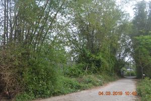 Thông tin chia tách Hòa Vang thành 2 đơn vị hành chính không chính xác