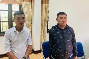 "Hô biến" đất lúa thành đất trồng hoa ly, 2 cán bộ bị khởi tố