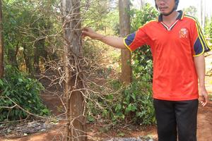 Gia Lai: Sống nghèo bên mỏ “vàng đen”