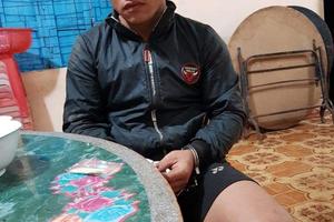 Gia Lai: Khởi tố đối tượng phá rừng hương quý hiếm