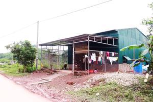 Vân Đồn (Quảng Ninh): Kỷ luật lãnh đạo xã Đài Xuyên