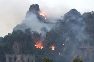 Cảnh báo nguy cơ cháy rừng cấp độ cực nguy hiểm tại nhiều tỉnh