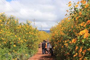 Nắng nóng mở rộng tại Bắc Bộ, có nơi lên đến 39 độ C