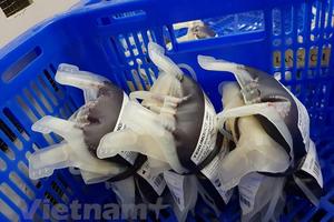 Thực hư thông tin về việc xuất khẩu máu ra nước ngoài?