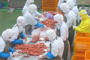Nhiều doanh nghiệp vẫn loay hoay đứng nhìn “cánh cửa” CPTPP