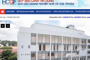 3 sếp ở Quỹ Bảo lãnh tín dụng TP HCM làm liều