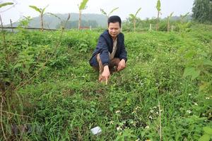 Công khai phương án đền bù giải phóng mặt bằng vùng ảnh hưởng bãi rác Nam Sơn